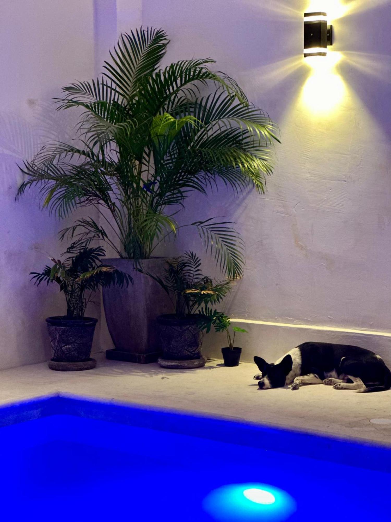 Hotel Casa Prisca Coyuca de Benitez المظهر الخارجي الصورة